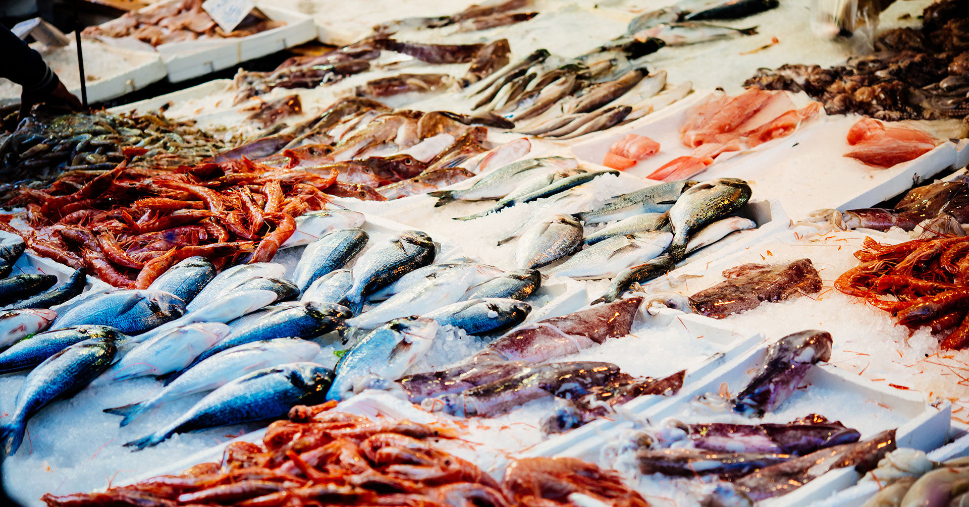 Assorted fresh fish on display at a market in recyclable polystyrene boxes